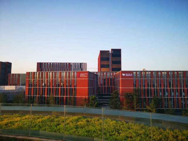 威海少儿体育运动培训训练班