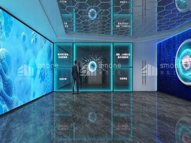 江门能做阳光结汇公司